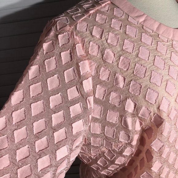 Dennis Basso Pink Organza Mesh Kimono Coat 24W - Picture 5 of 12